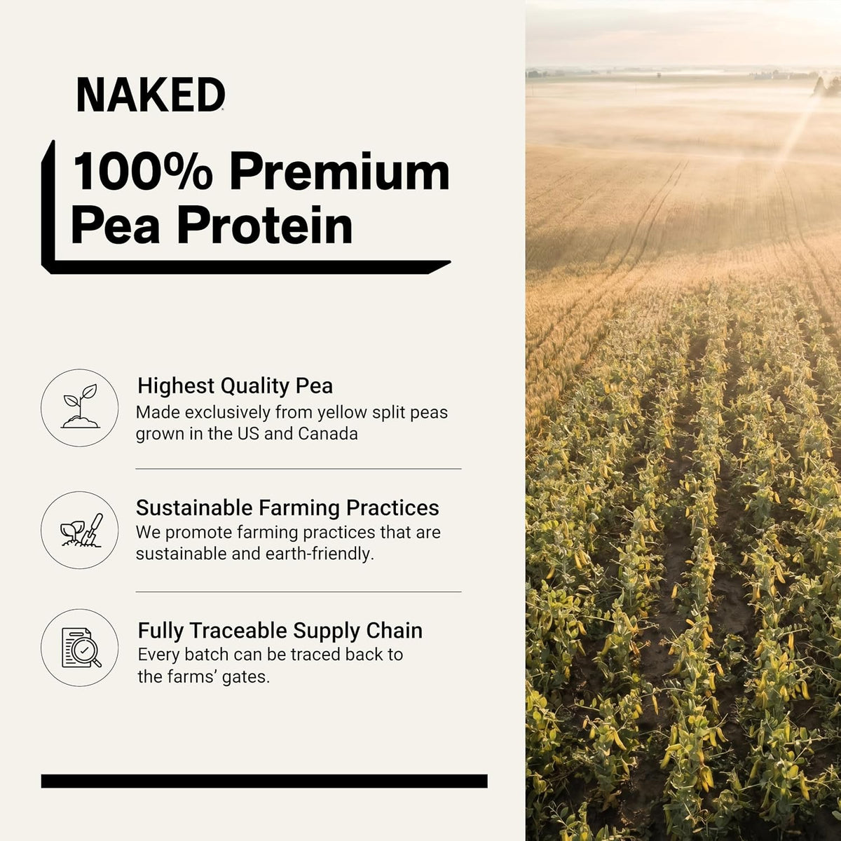 NAKED Pea - 5LB 100% Pea Protein Powder from North American Farms - Unflavored Vegan Pea Protein Isolate - NSF Certified, Plant Protein Powder, Easy to Digest - 76 Servings